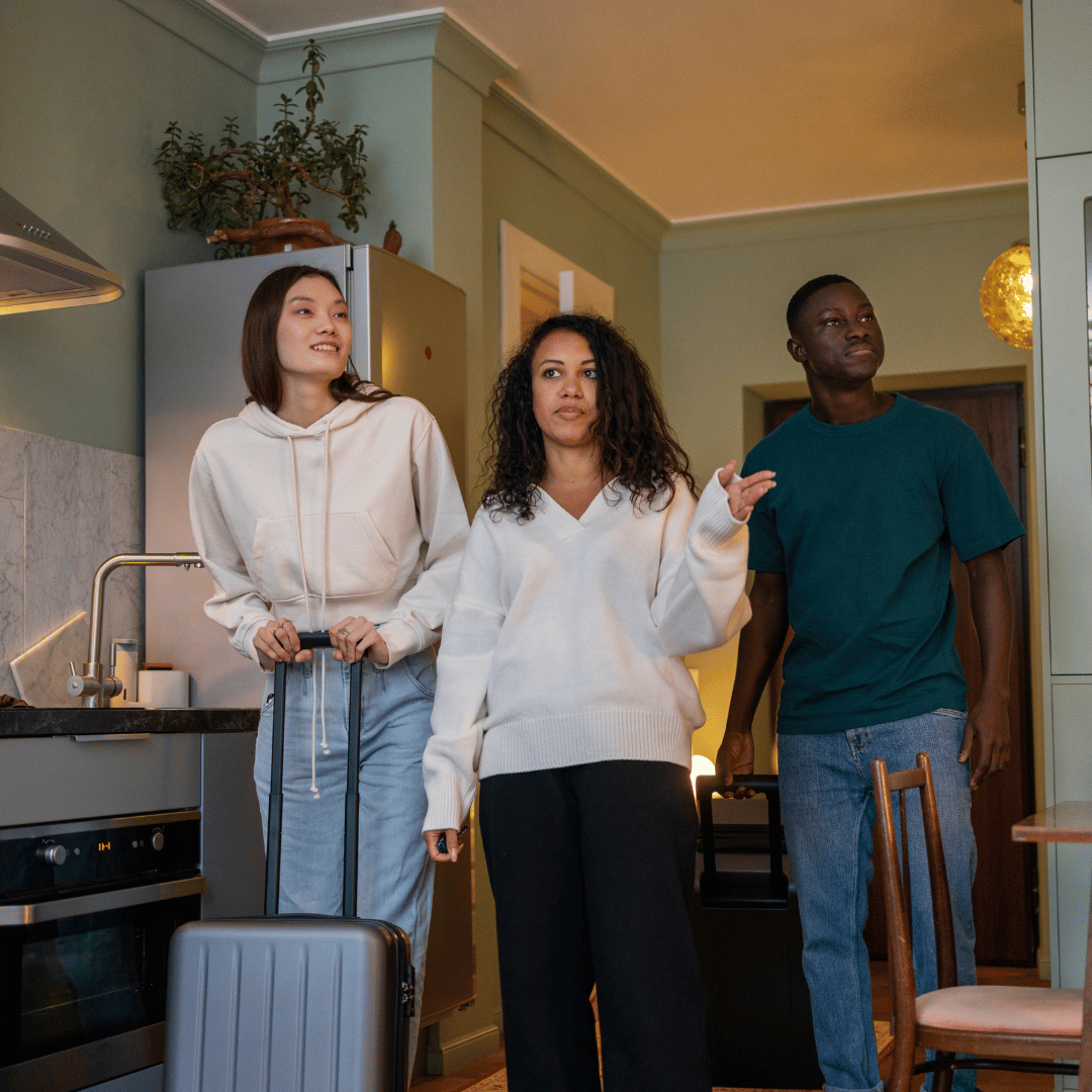 KAURI BUSINESS SALES – Current Business Opportunities, New Zealand at Accommodation